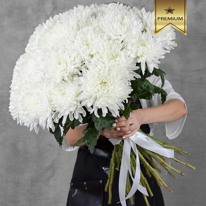 Белые хризантемы: 38 фото прекрасных инодорумов, кустовых сортов и одноголовых цветов