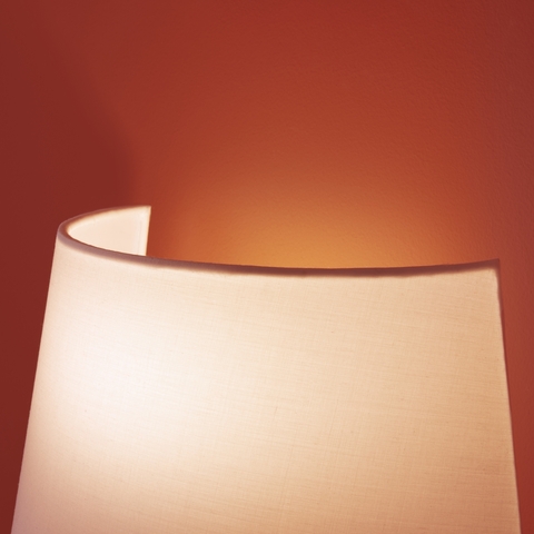 Настенный светильник Freya Graceful FR2042WL-01BS