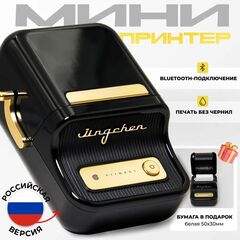 Принтер NIIMBOT B21S black