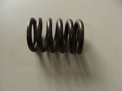 Пружина клапана дв.Андория
