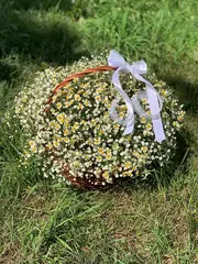 Корзина Ромашковое поле