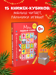 15 книжек-кубиков. Мои первые слова. Русский язык