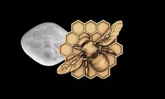 Силиконовый молд Пчела на сотах