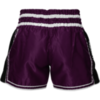 Шорты для тайского бокса Hardcore Training Base 2.0 Purple
