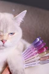 Korean Cat Flesh гель лак 01