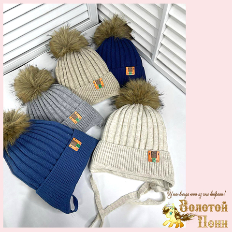 Шапка на синтепоне м (0-1) 251019-Ш4124