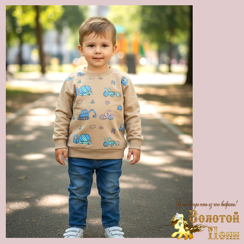 Свитшот трикотаж м (74-98) 251205-Y5108