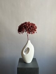 Гортензия стабилизированная красно-коричневая