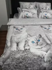 Постельное белье 1.5 спальное 50х70 хлопок 100%