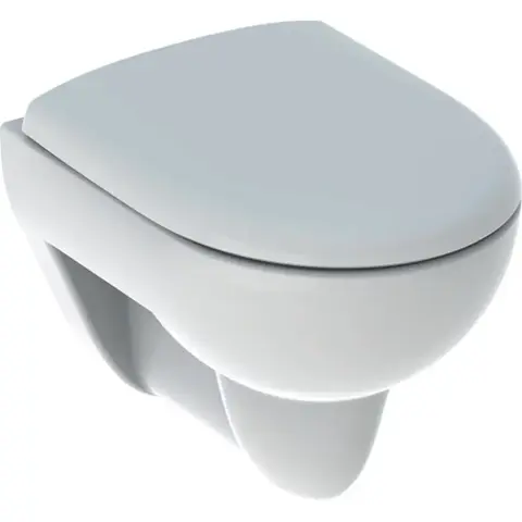 Комплект из подвесного унитаза Renova Compact, T49   и сиденья  с видимым крепежом.
