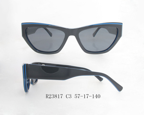 R23817