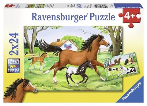 Puzzle World of Horses 2x24 pcs