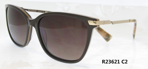 R23621