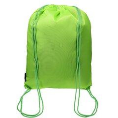 
          Мешок для сменной обуви 1 отделение Проф-Пресс, 340х450 мм, двойной шнурок, "Зеленый"