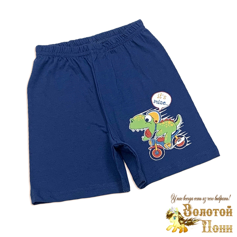 Шорты хлопок м (1-4) 260324-VT828