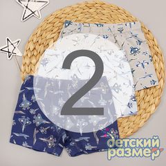 2 (3-4 года)