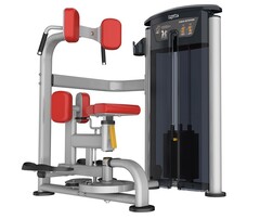 Вращение торса AeroFit IT9518. Стек 91 кг