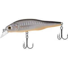 Купить воблер Helios Brutal Shad, 10г, 80мм (0-1м) F цвет B13, HS-BS-9020-10-F-B13