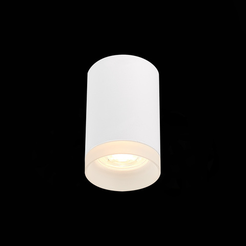 Светильник потолочный ST Luce ST100.502.01