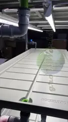 Многоярусный гидропонный стеллаж 4 яруса B2100хД2100хШ600мм до 400 растений
