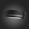 Светильник настенный ST Luce Grecci SL1588.411.01