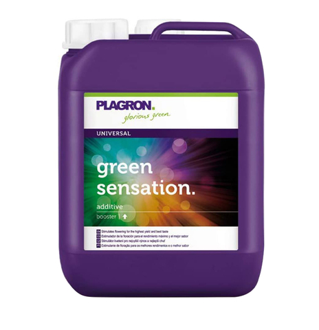 Green sensation 10 L