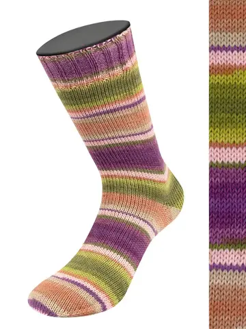 Пряжа Lana Grossa Landlust die Sockenwolle VI 131