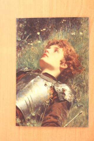 Рыцарь на траве