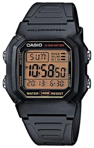 Наручные часы Casio W-800HG-9A фото