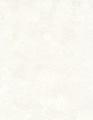 АФ4-12-013 Обои под покраску Casa Alpina 25 х1,06м / виниловые на флизелиновой основе / АНТИВАНДАЛЬНЫЕ