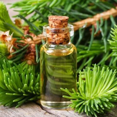Эфирное масло пихты