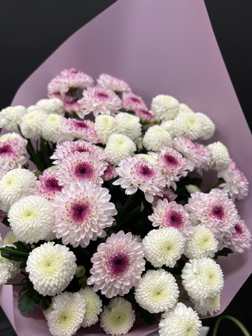 Помпон микс