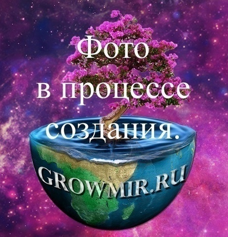 О гроутентах