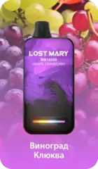 Одноразовая электронная сигарета Lost Mary BM - Виноград Клюква (16000 затяжек)