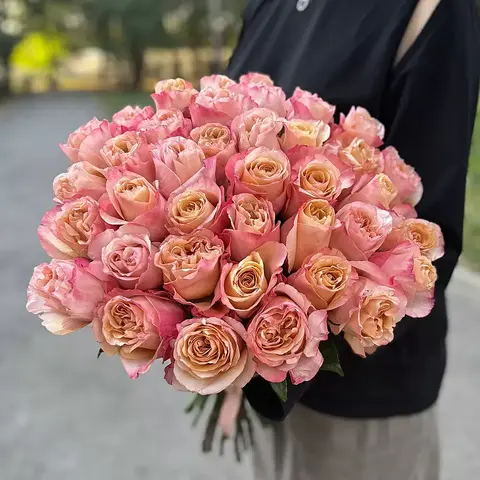 Фасинейшн(Fascination)