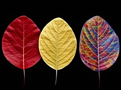 Силиконовый молд лист Фиалки