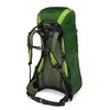 Картинка рюкзак туристический Osprey Exos 38 Tunnel Green - 3