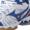 Кроссовки Mizuno Wave Bolt 2 волейбольные