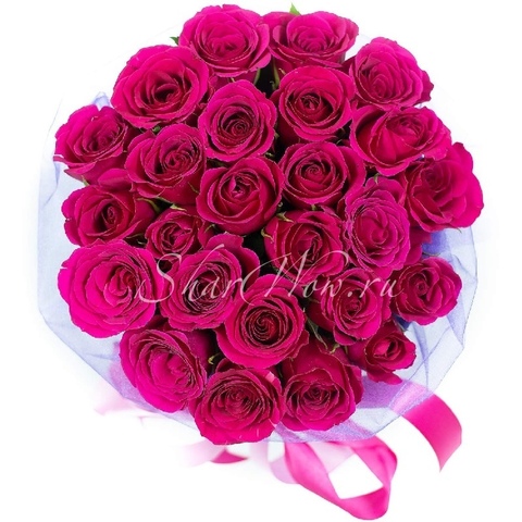Букет классических роз цвета фуксия из Эквадора, перевязанный лентой.
