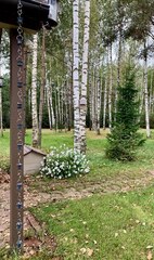 Дождевая цепь «Колокольчики и ромашки», темно-серый RAL7024