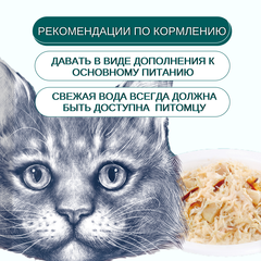 Wanpy Cat пауч для кошек из курицы и треска 85 г
