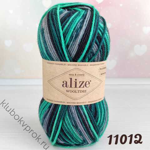 ALIZE WOOLTIME 11012, Мультиколор