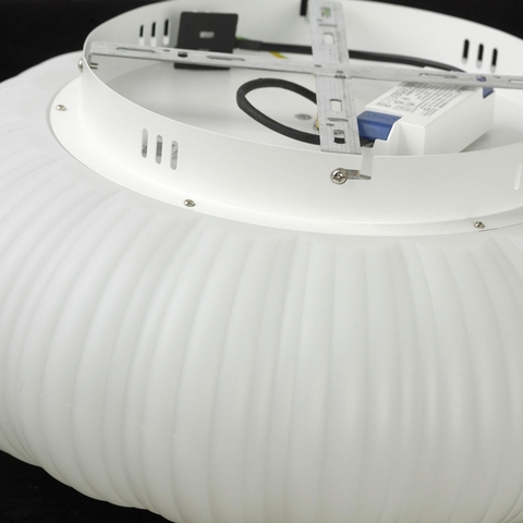 Потолочный светодиодный светильник Lussole CLAUDIA LSP-0921