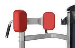Вращение торса AeroFit IT9518. Стек 91 кг