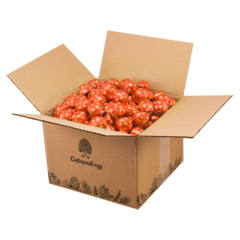 Мармелад "Ягодень" с брусникой в шоколадной глазури / гофрокороб / 1000 г / Сибирский кедр