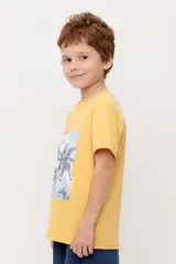 фуфайка  для мальчика  КР 302751-1/золотистая пшеница к566