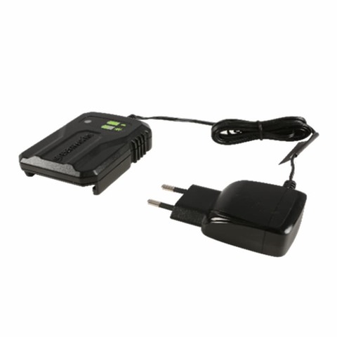 Зарядное устройство Greenworks 40V 2A G40UCM2M