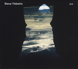 TIBBETTS, STEVE: Natural Causes (Компакт-диск)
