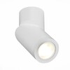 Светильник потолочный ST Luce ST650.502.01