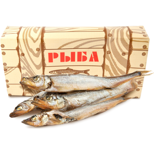 килька